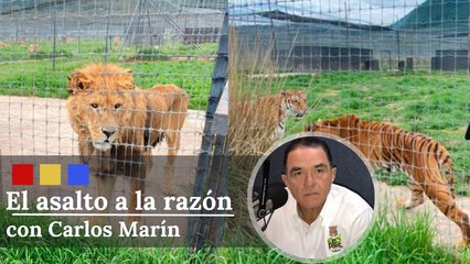 ¿Qué ha pasado con los animales del santuario silvestre de Ajusco? | El Asalto a la Razón