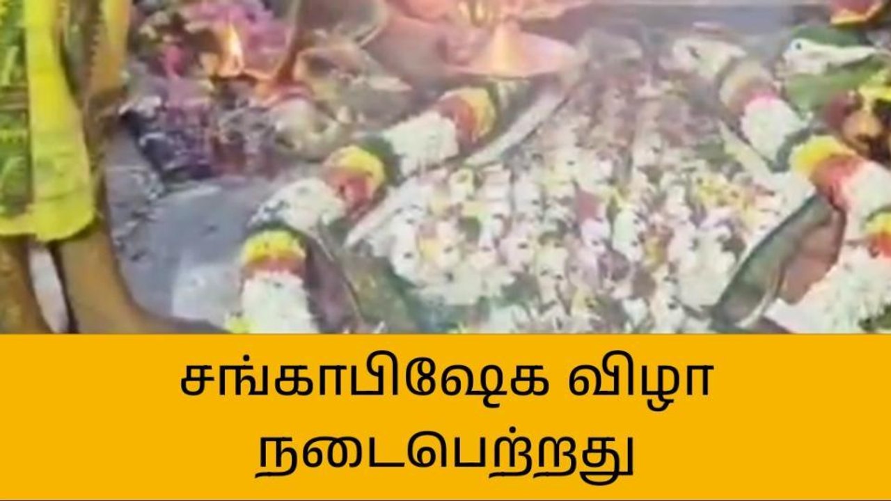 விராலிமலை:முருகன் கோவிலில் சங்காபிஷேக விழா