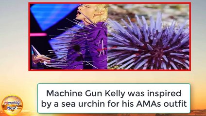 Machine Gun Kelly was inspired by a sea urchin for his AMAs outfit(1)
