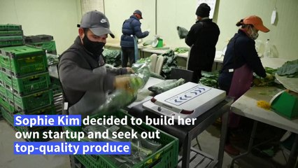 Frustrated foodies gobble up South Korean grocery service