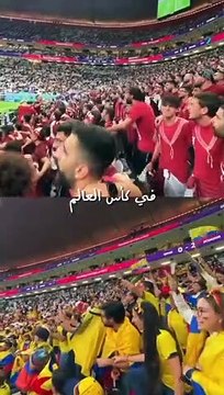 Dünya Kupası açılış maçından sonra Japon taraftarların kendi çöplerini temizlemesi Katarlıları şaşırttı