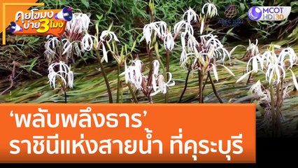 'พลับพลึงธาร' ราชินีแห่งสายน้ำ ที่คุระบุรี | คุยโขมงบ่าย 3 โมง