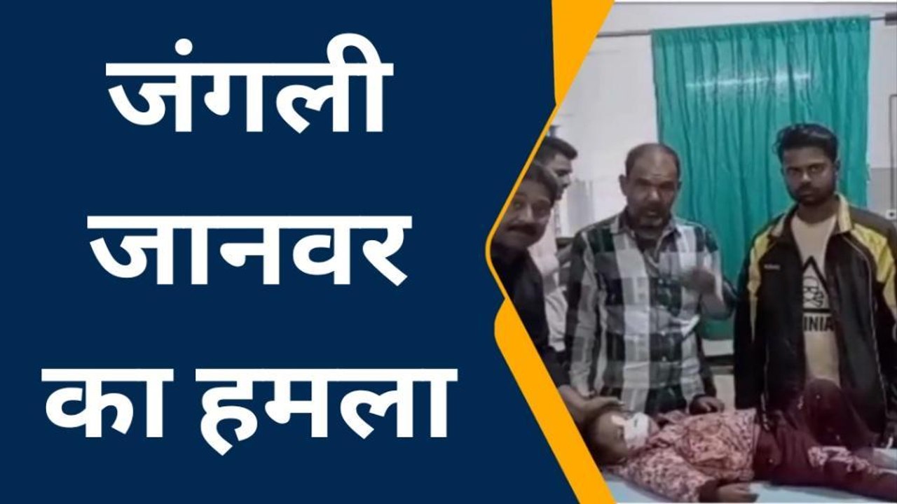 शाजापुर: सियाल ने किया हमला,बेटे को बचाने माँ ने लगा दी जान की बाजी, देखें खबर