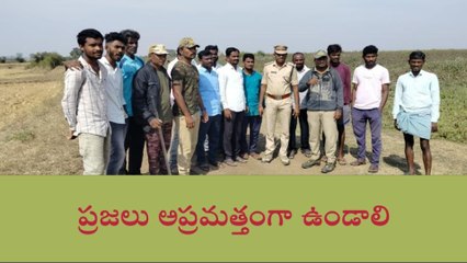 కాగజ్ నగర్: జిల్లా ప్రజలను హడలెత్తిస్తున్న పెద్దపులి..
