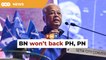 BN to remain in opposition, won’t back PH, PN, says Ismail