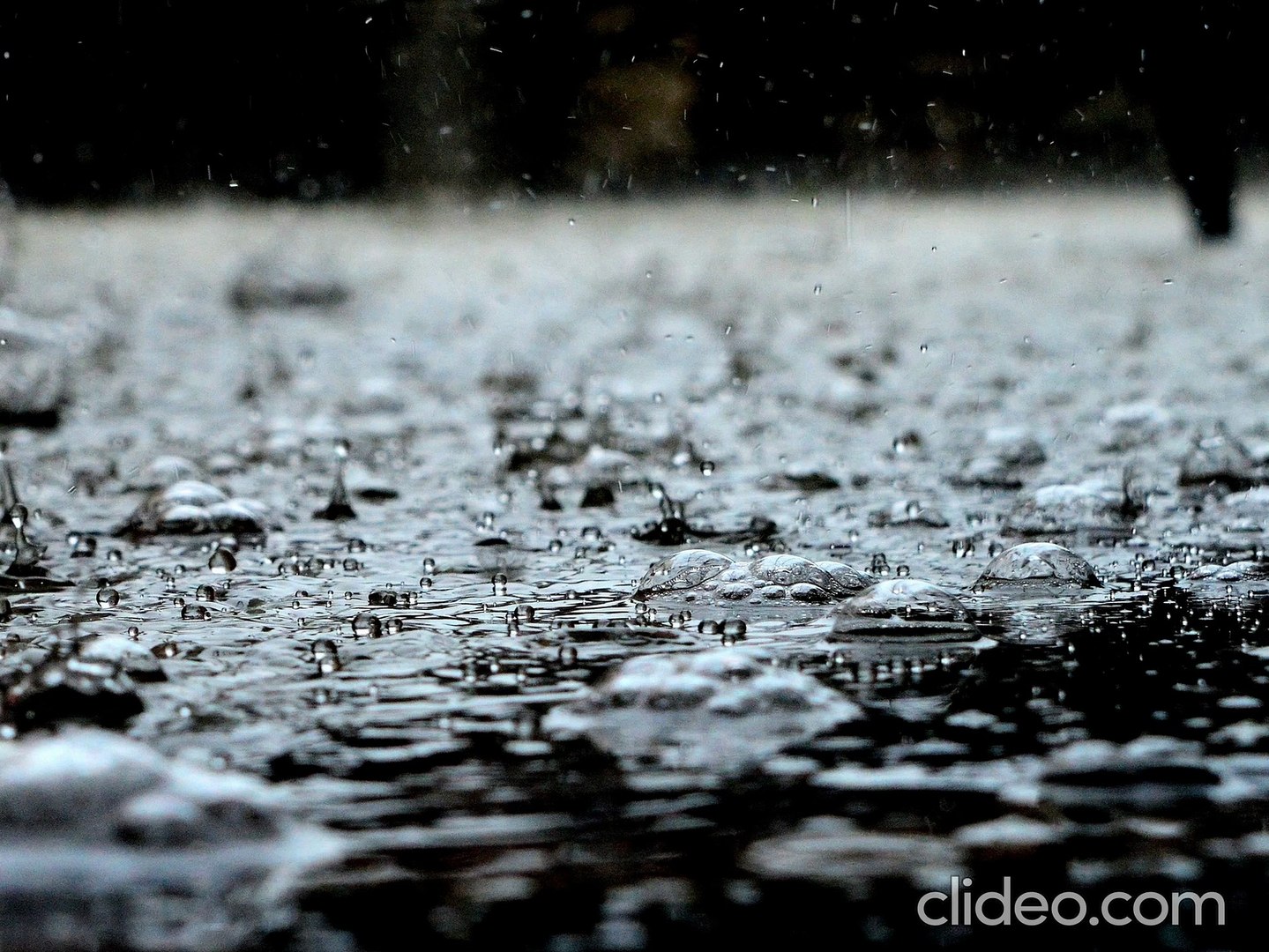 Calm Music | Meditation Music