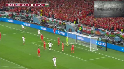 USA vs WALES 1-1 Highlight FIFA Worlcup 2022