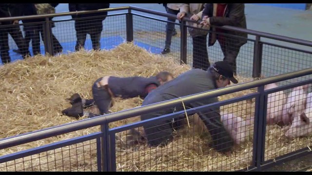 Saint Amour Bande-annonce (RU)