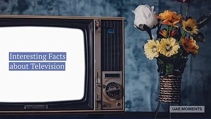 Interesting Facts about Television