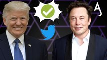 Elon Musk restablece la cuenta de Twitter de Donald Trump 