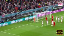 USA vs Wales 1-1 - All Goals & Extended Highlights | World Cup Qatar 2022 HD