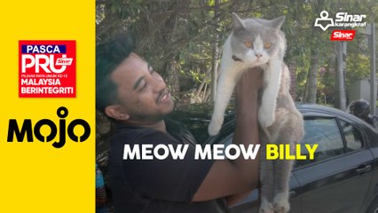 Kucing debab Anwar penghibur media
