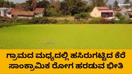 ಹೊಳೆನರಸೀಪುರ: ಕಲುಷಿತಗೊಂಡ ಕೆರೆ- ಸ್ವಚ್ಚತೆಗೆ ಸಾರ್ವಜನಿಕರ ಆಗ್ರಹ