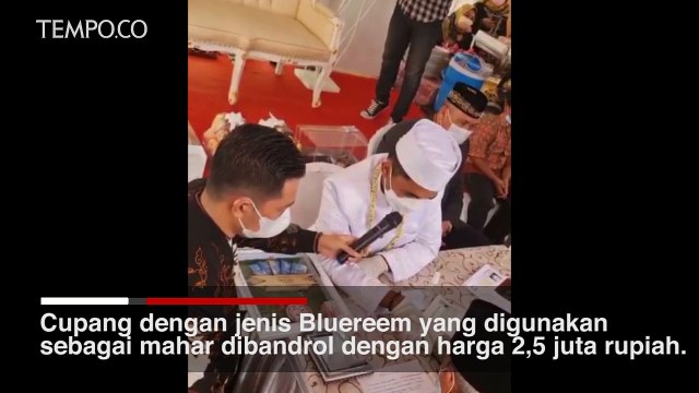 Sepasang Ikan Cupang Ini Jadi Mahar Pernikahan Pasangan Ini