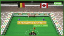 Belgique - Canada: le prono de Pépette la tortue