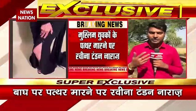 Bhopal News: मुस्लिम युवकों के पत्थर मारने पर रवीना टंडन नाराज़ Raveena Tandon | MP | Muslim | Tiger