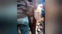 Tramvayda sapık var! Iraklı tacizciye meydan dayağı attılar