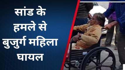 सिवनी:सांड के हमले से बुजुर्ग महिला घायल, इलाज जारी