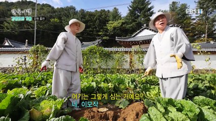 한국기행 - Korea travel_강원도의 가을 2부- 인연 따라 가는 길_#001