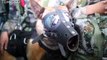 Anjing Militer di Cina Berhasil Terjun Payung, di Bawah Tentara Operasi Khusus