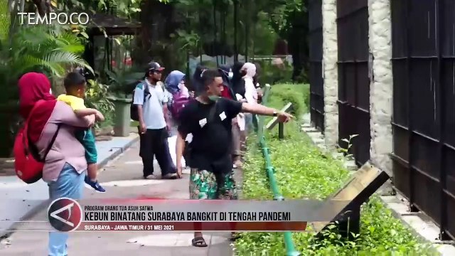 Kebun Binatang Surabaya Bangkit Di Tengah Pandemi