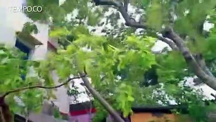 5 Tewas,Lebih 1 Juta Orang Dievakuasi saat Topan Yaas Mendarat di India Timur