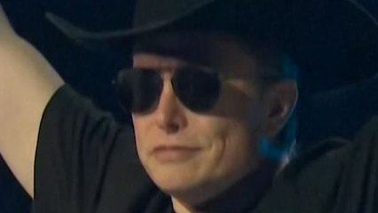 Les comptes Twitter réactivés par Elon Musk