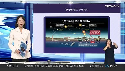 [그래픽뉴스] '한국형 사드' L-SAM