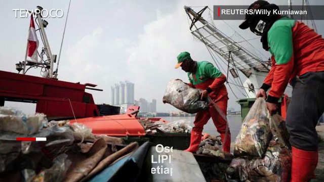 Hari Laut Sedunia, Ini Potret Pantai Jakarta