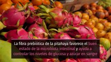 8 Propiedades y Beneficios de la PITAHAYA ‍⚕️✅
