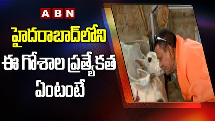 హైదరాబాద్ లోని ఈ గోశాల ప్రత్యేకత  ఏంటంటే || ABN Telugu