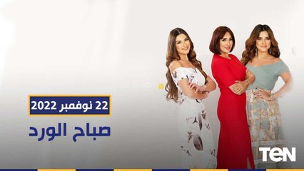 كيف نحصل على حقوقنا من مضايقات السوشيال ميديا؟.. تفاصيل إيام مهرجان القاهرة السينمائي