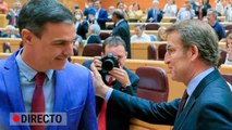 Nuevo encuentro entre Pedro Sánchez y Núñez-Feijóo en el Senado