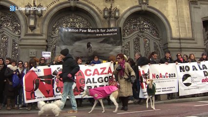 Los perros de caza serán potencialmente peligrosos con la ley de Bienestar Animal de Belarra