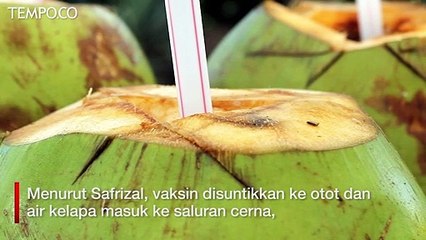 Fenomena Air Kelapa untuk Hilangkan Efek Vaksinasi, Dokter: Tak Rasional