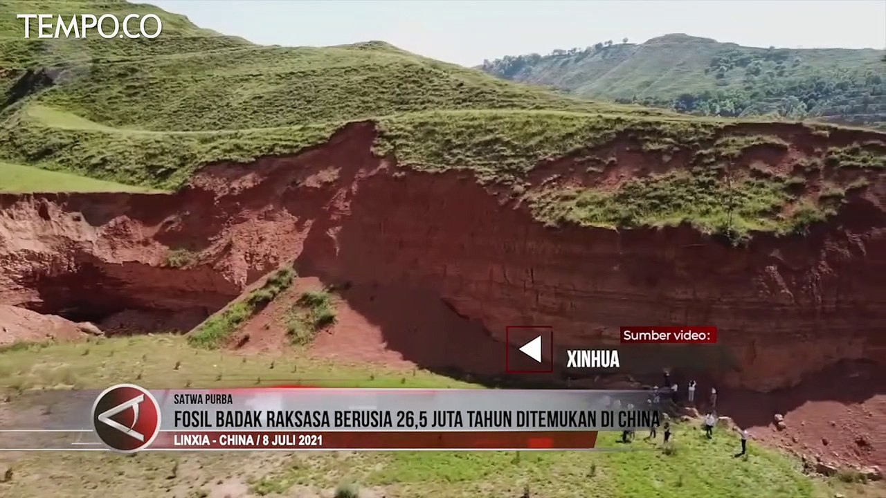 Fosil Badak Raksasa Berusia 26 Juta Tahun Ditemukan di Cina