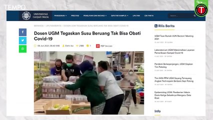 Susu Beruang Bisa Menyembuhkan Penderita Covid-19?