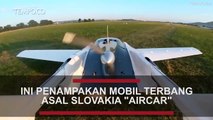 Ini Penampakan Uji Coba Mobil Terbang Asal Slovakia 