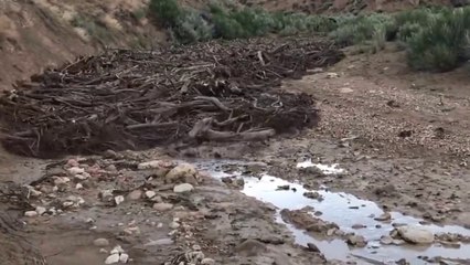 Debris Flow With A Monstrous Flash Flood In Johnson Canyon, Utah