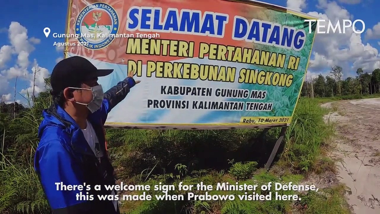 Deforestasi Food Estate Jokowi: Hutan Rusak, Banjir di Desa-Desa