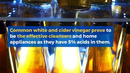 Talk about Vinegar's Health Benefits and Uses