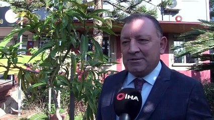 Üreticilerin yeni gözdesi! Sadece 1 ağaçtan aylık 3 asgari ücret