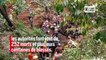252 morts et des centaines de blessés : l'Indonésie frappée par un séisme