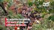 252 morts et des centaines de blessés : l'Indonésie frappée par un séisme