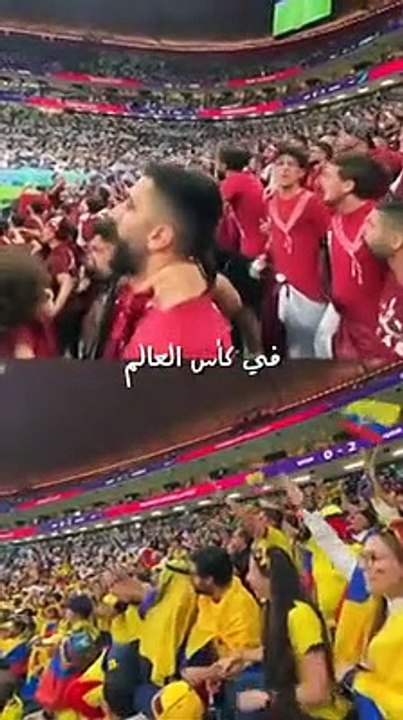 I tifosi giapponesi puliscono lo stadio dopo la partita Qatar-Ecuador. Il video è virale