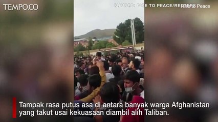 Viral, Gadis Kecil Afghanistan Diangkat ke Atas Tembok, Diserahkan ke Tentara AS