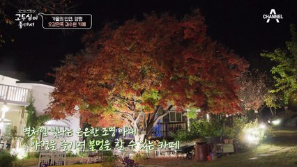 카페 안에 농작물이? 오감만족 과수원 카페