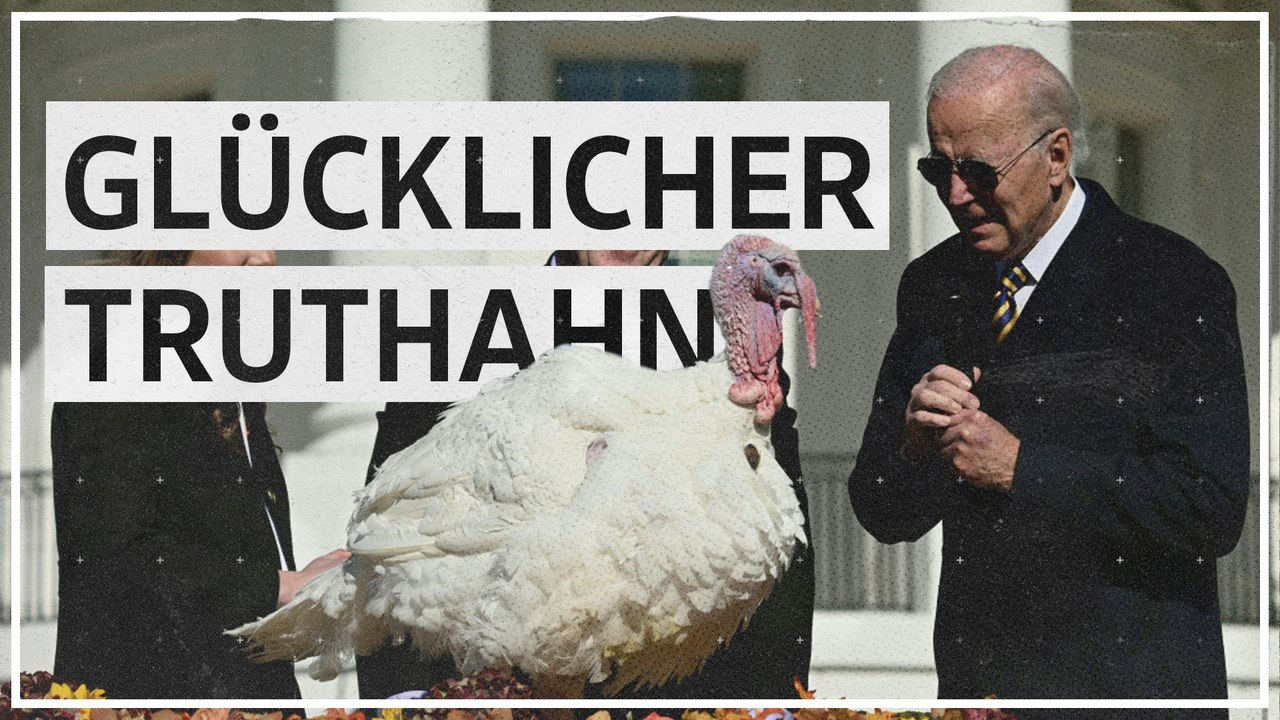 Biden begnadigt vor Thanksgiving zwei Truthähne