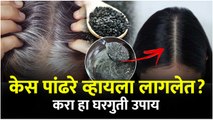 काळे केस पांढरे करण्यासाठी घरगुती उपाय | Black Hair Permanently | Reverse Grey Hair Naturally  Premature Greying