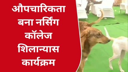 टोंक: जब नर्सिंग कॉलेज शिलान्यास में आवारा मवेशियों का हो गया जमावड़ा,देखिए खबर